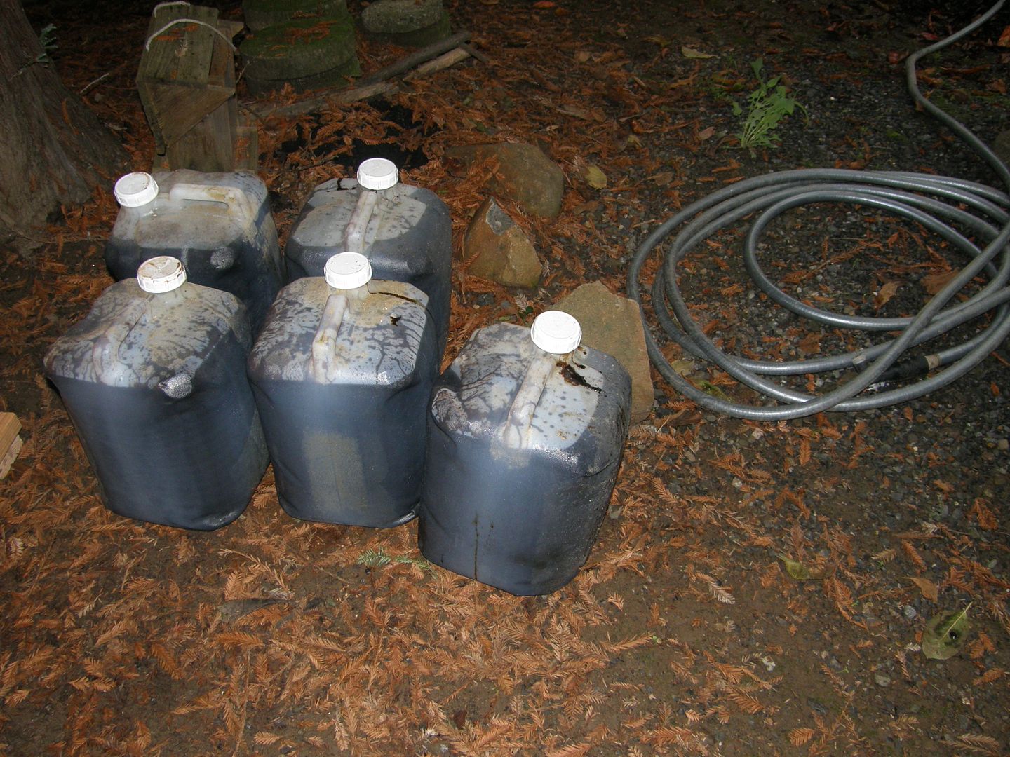 Rust removal.......the miracle of molasses! The H.A.M.B.